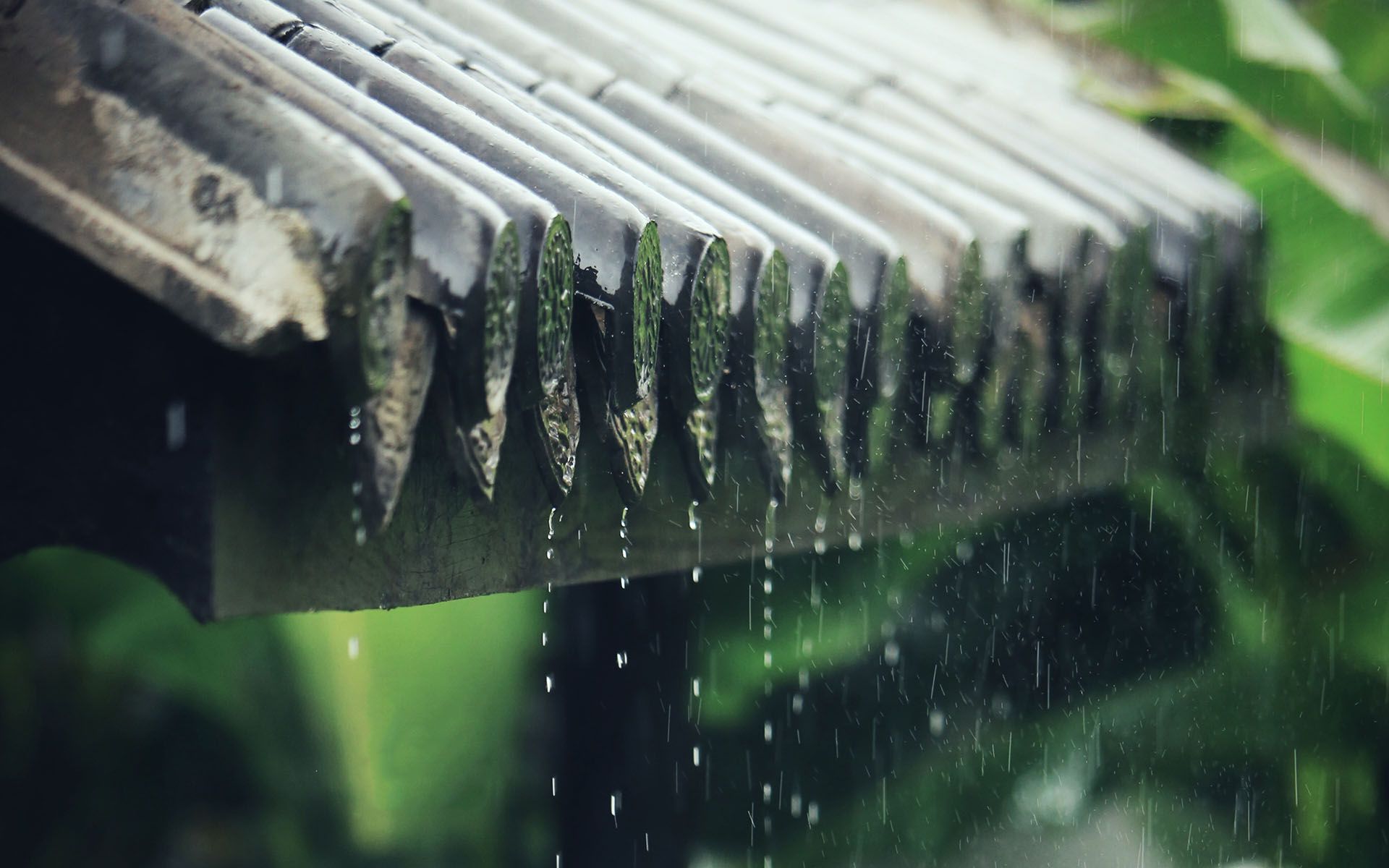 雨，有多种下法